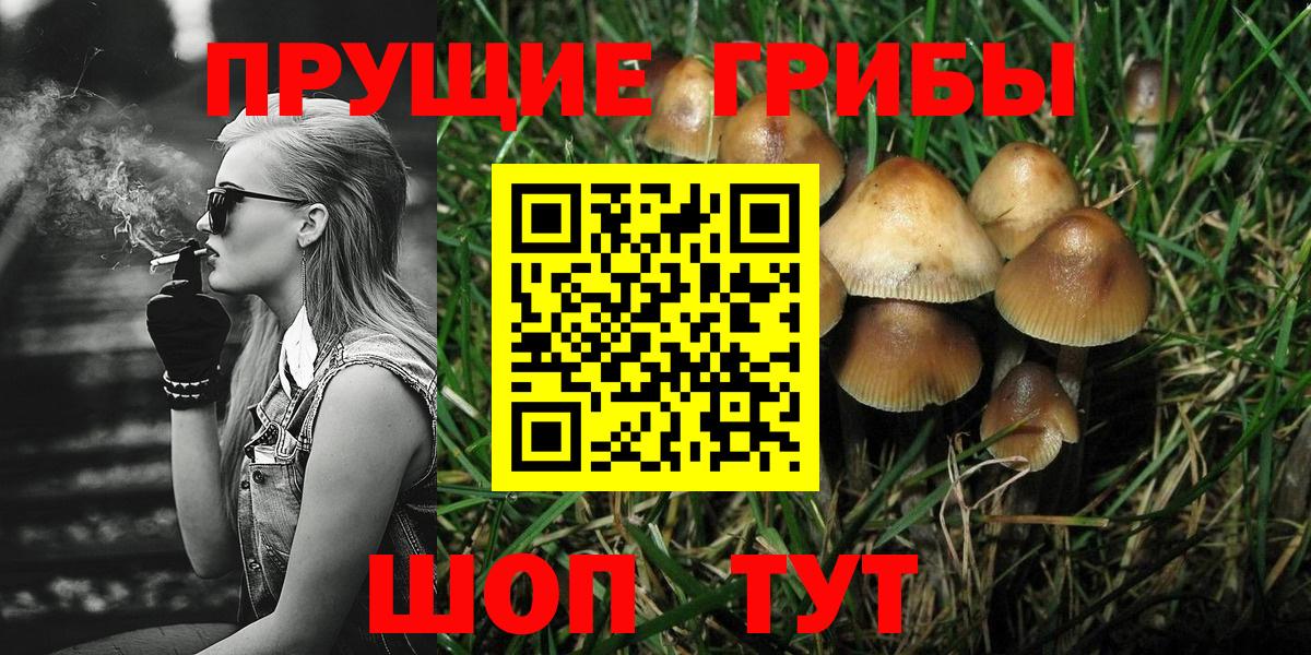 Псилоцибиновые грибы мицелий  Вход с VPN  Лысьва 